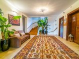DSC02644-HDR