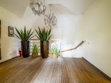 DSC02653-HDR